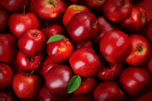 قیمت سیب خشک ارگانیک با کیفیت ارزان + خرید عمده